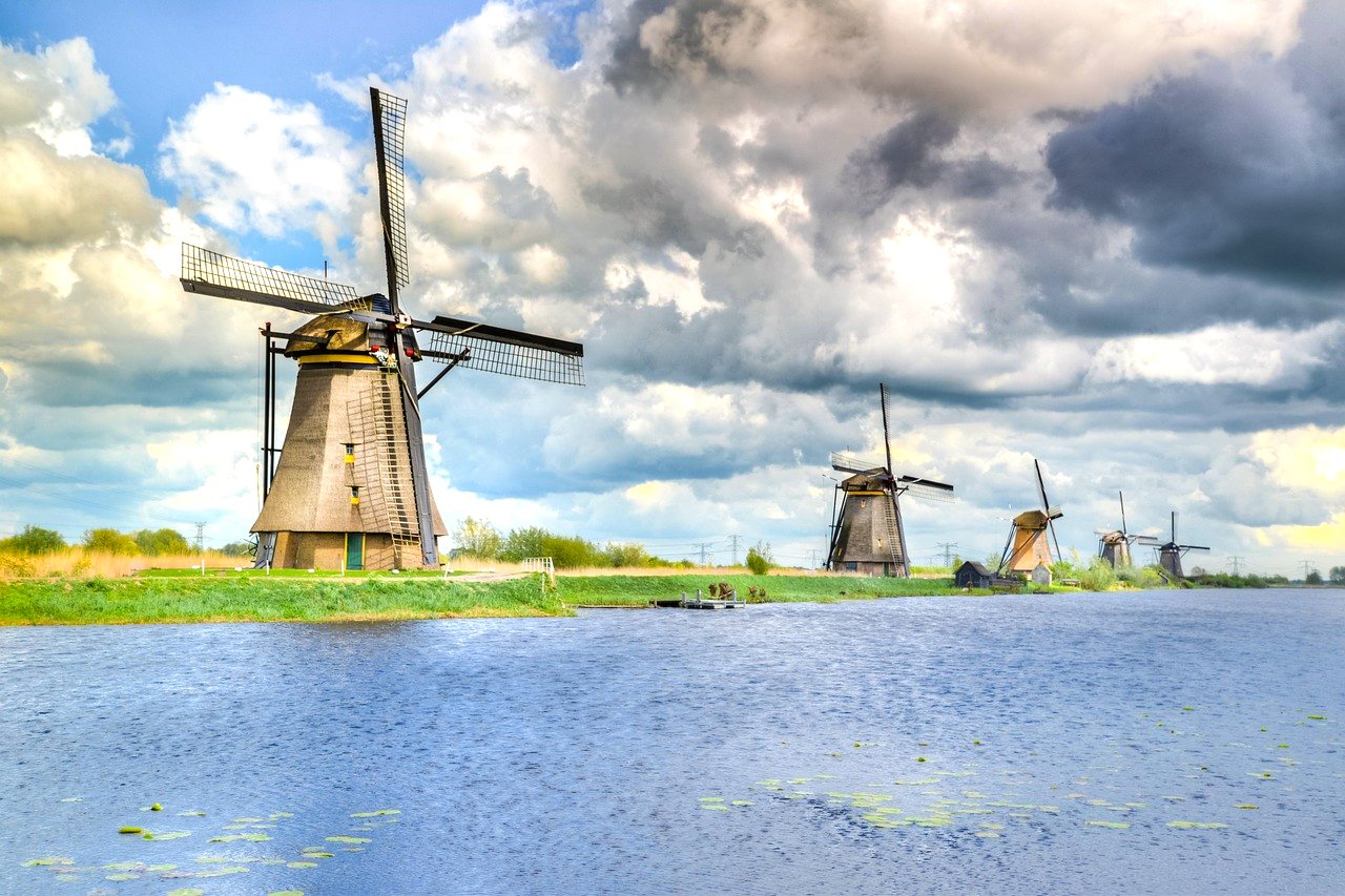 Wilde dieren in een Nederlands natuurgebied